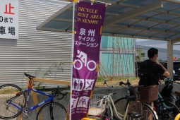 恋するせんなん