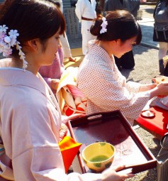 恋するせんなん